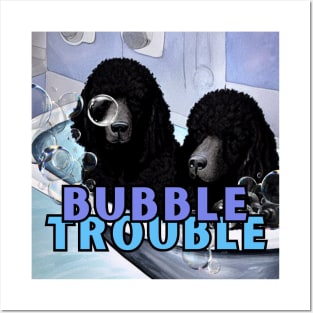 Two Black Poodles Taking a Bath Posters and Art